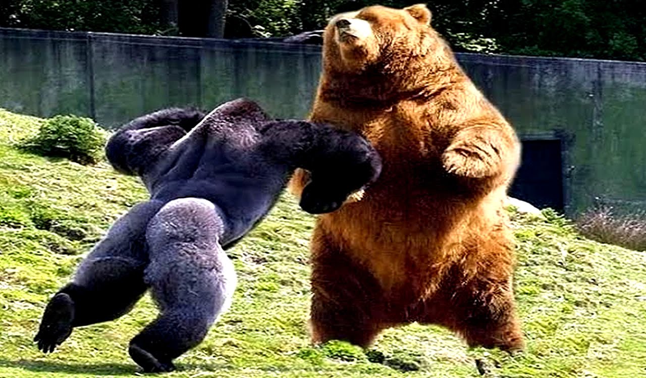 Conoce a los 10 Animales más fuertes y poderosos del mundo