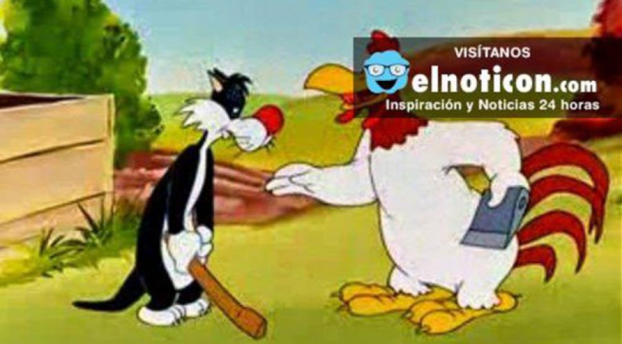 ¿Recuerdas a Silvestre? 6 cosas que no sabías de este lindo gatito