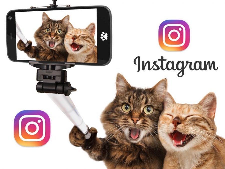 En Instagram ya puedes crear álbumes de fotos y videos