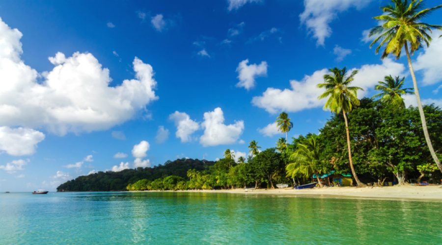 ¿Sabías que en Colombia está la isla más poblada del mundo?