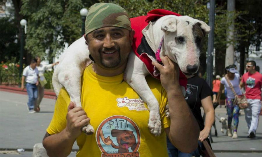 ¿Por qué este hombre camina de Pasto a Bogotá con su perra ciega a cuestas? ¡La respuesta es hermosa!