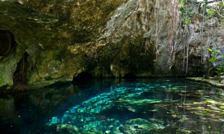 Conoce la cueva subacuática más grande del mundo. ¡Está ubicada en Latinoamérica!