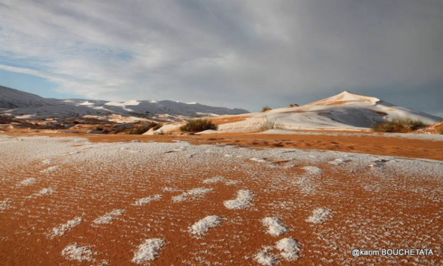 ¿Es normal que haya nevado en el desierto del Sáhara? ¡Las imágenes son hermosas!
