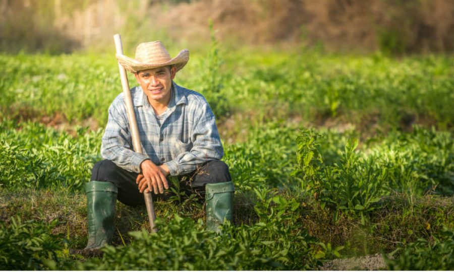 Las tres grandes propuestas que quieren convertir a Colombia en un lugar mejor