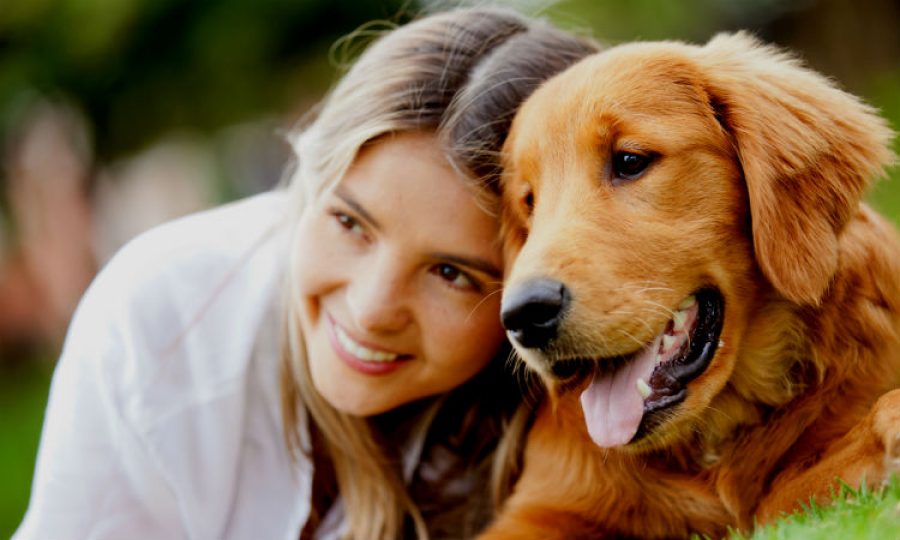 Señales para saber si tu perro es feliz, ¡recompensa su lealtad con este premio!