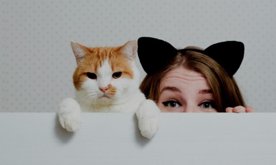 ¿Conoces bien a tu gato? ¡Asómbrate!