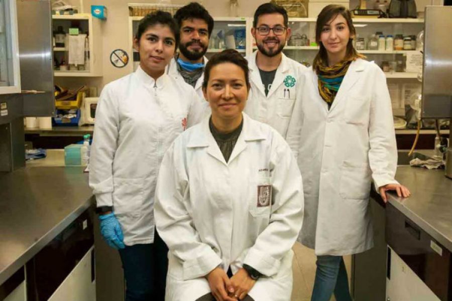 En cabeza de investigadora mexicana, científicos logran eliminar Virus del Papiloma Humano en 29 mujeres