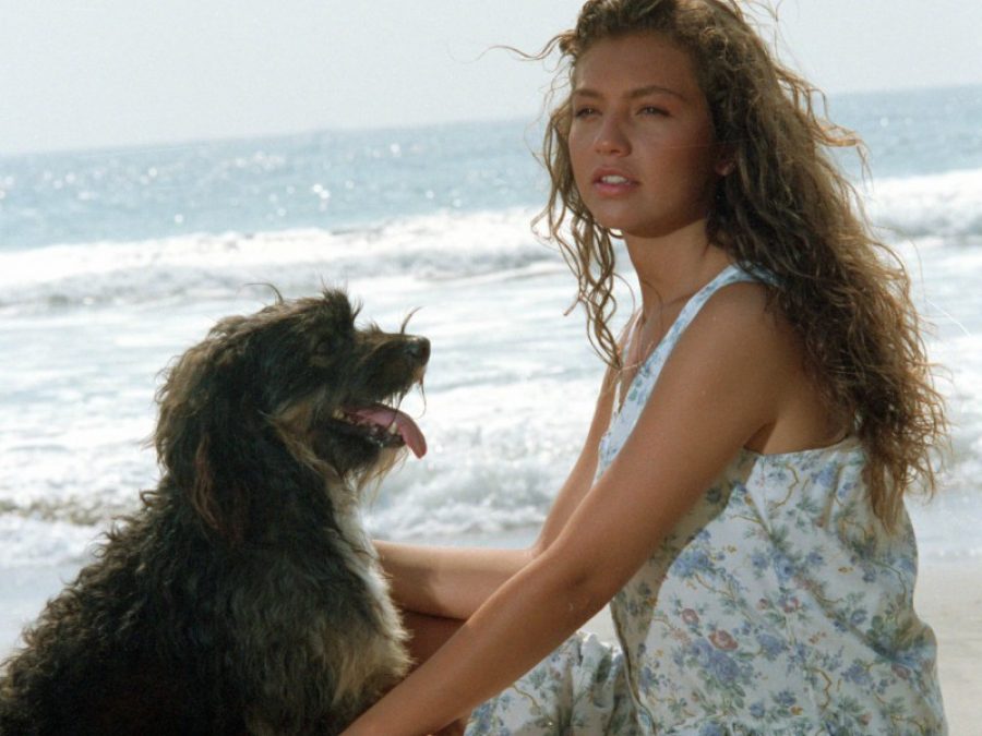 ¿Recuerdas a ‘Pulgoso’, el perro de Marimar? Esto es lo que hace ahora la famosa mascota que hablaba