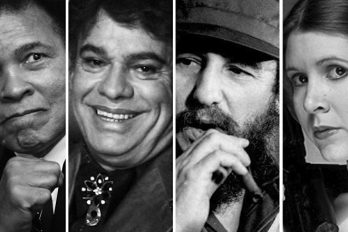 ¿Por qué han fallecido tantos famosos en 2016? Los científicos lo explican