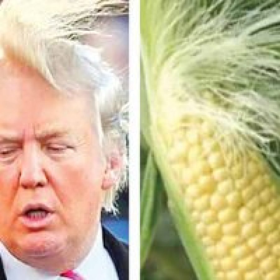 Trump, rey del meme; invade redes sociales