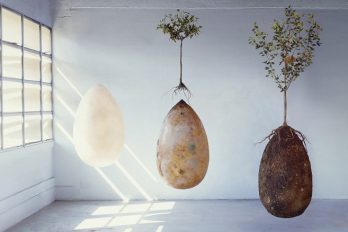 La urna funeraria biodegradable que convierte tu cuerpo en árbol