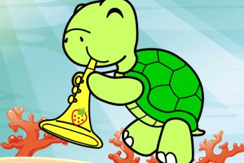 FELICIDADES, se acerca el Día Mundial de las tortugas ¡6 datos que seguro no conocías!