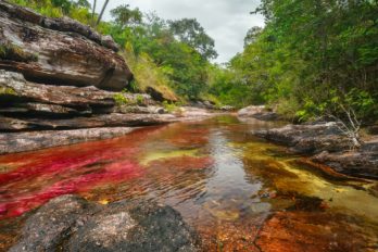 Patrimonio ambiental del país sigue a salvo, se preservará La Macarena y Caño Cristales
