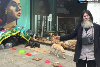 Acacio Ramirez, el hombre que cuida a 17 perros y demuestra que la amistad entre humanos y animales es real