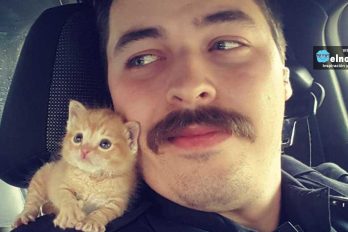 Este policía rescató a un pequeño gato en un basurero y ahora luchan juntos contra el crimen