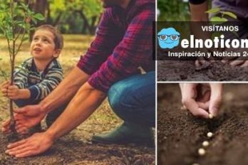 En Argentina celebrarán cada nueva vida plantando un árbol