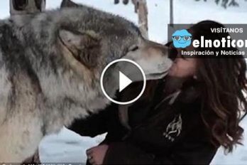 Una chica salió de paseo por la nieve y se encontró con una sorpresa totalmente inesperada