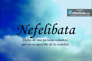 Definición de Nefelibata