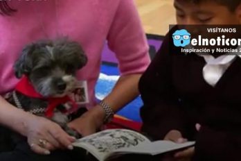 This therapy dog is helping kids learn English as a second language
