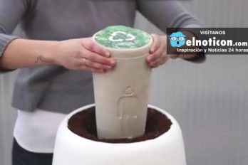 This amazing urn sprouts new life when you leave yours