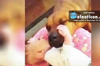 Dog Who Was Born In A Shelter Can’t Stop Kissing His New Baby