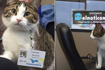 Meet Meow Meow, the newest member of the Canadian North team