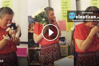 These students surprised their teacher with two kittens after learning her cat died