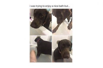 I was trying to enjoy a nice bath but…