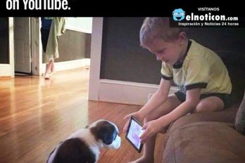 He told his dad he wanted to train his pup…