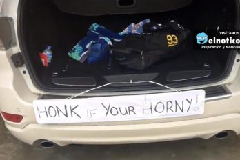 Honk If You’re Horny