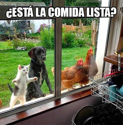 Web para conocer gente en berriozar Web para conocer gente en berriozar