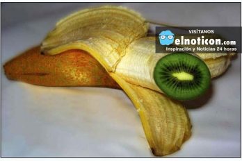 ¿Cómo hacer crecer un kiwi dentro de una banana? ¡Quedarás asombrado!