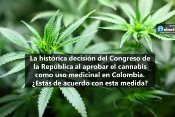 Congreso de la República aprueba el cannabis como uso medicinal en Colombia