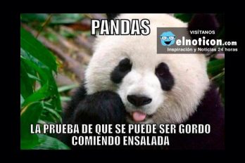 Pandas…