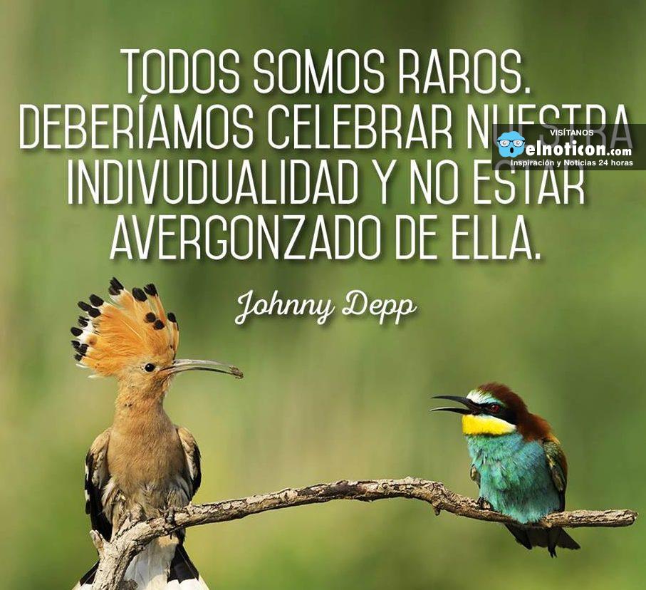 Las 10 Aves Más Increíbles Del Mundo Quedarás Asombrado Elnoti Las 10 Aves Más Increíbles Del Mundo Quedarás Asombrado Elnoti