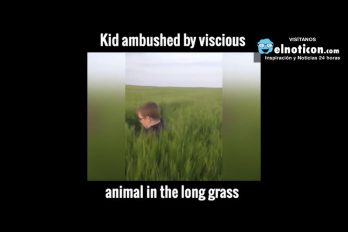 Stay Out of The Long Grass!