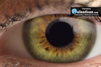 Amazing facts about our eyes