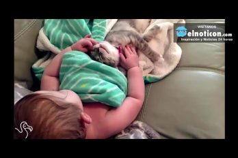 Baby Can’t Stop Petting Her First Kitten