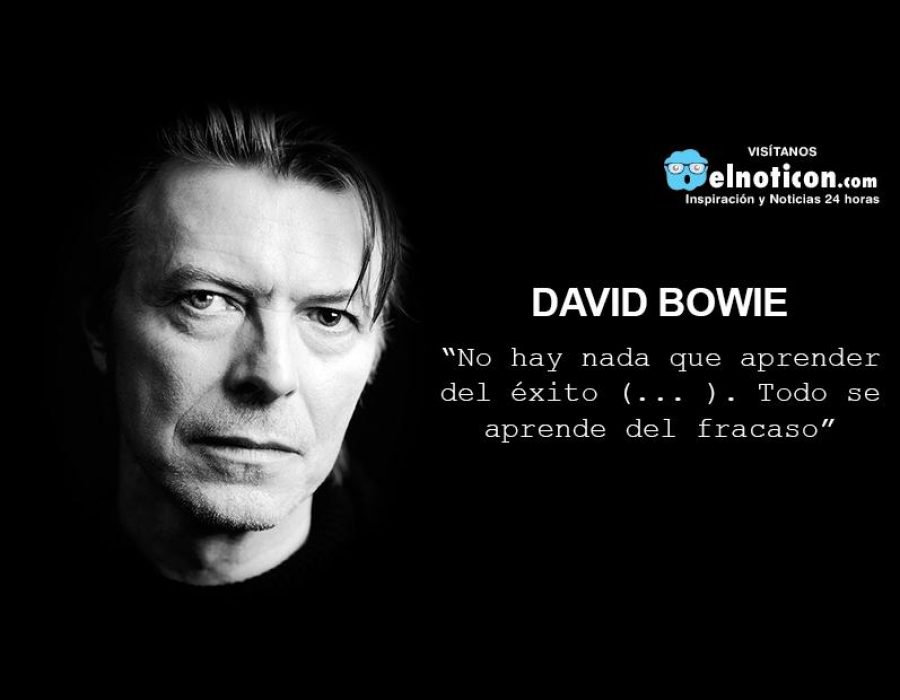 “No hay nada que aprender del éxito (… ). Todo se aprende del fracaso”