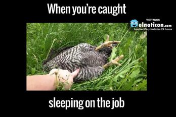 When you’re caught sleeping on the job