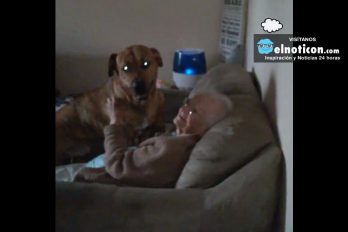 Grandma Loves Dog