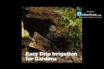 Easy Drip Irrigation Gardens