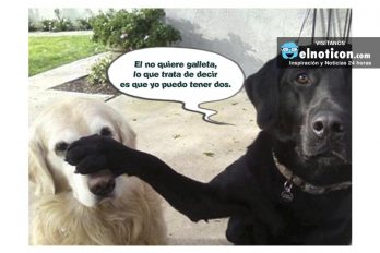 El no quiere galletas…