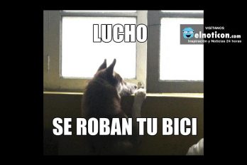 Mira Lucho…