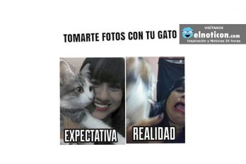 Tomarte fotos con tu gato