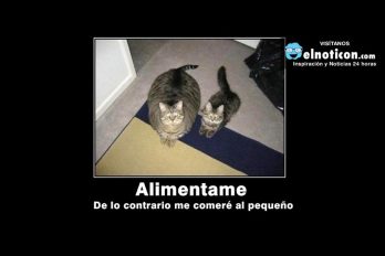 Aliméntame…