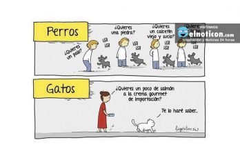 Perros vs. Gatos