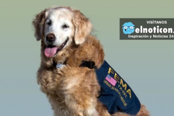 Un homenaje a Bretagne, la última rescatista canina sobreviviente de los atentados a las Torres Gemelas