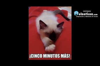 Cinco minutos más