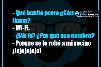 Qué bonito perro ¿Cómo se llama?